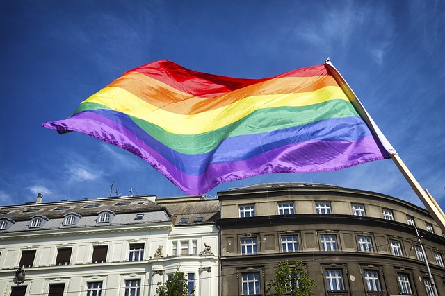 vlajka LGBTQ+ komunity